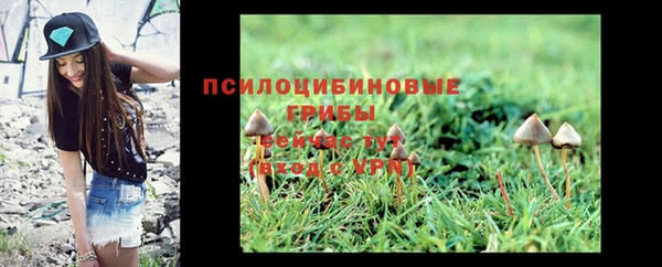 мет Верея